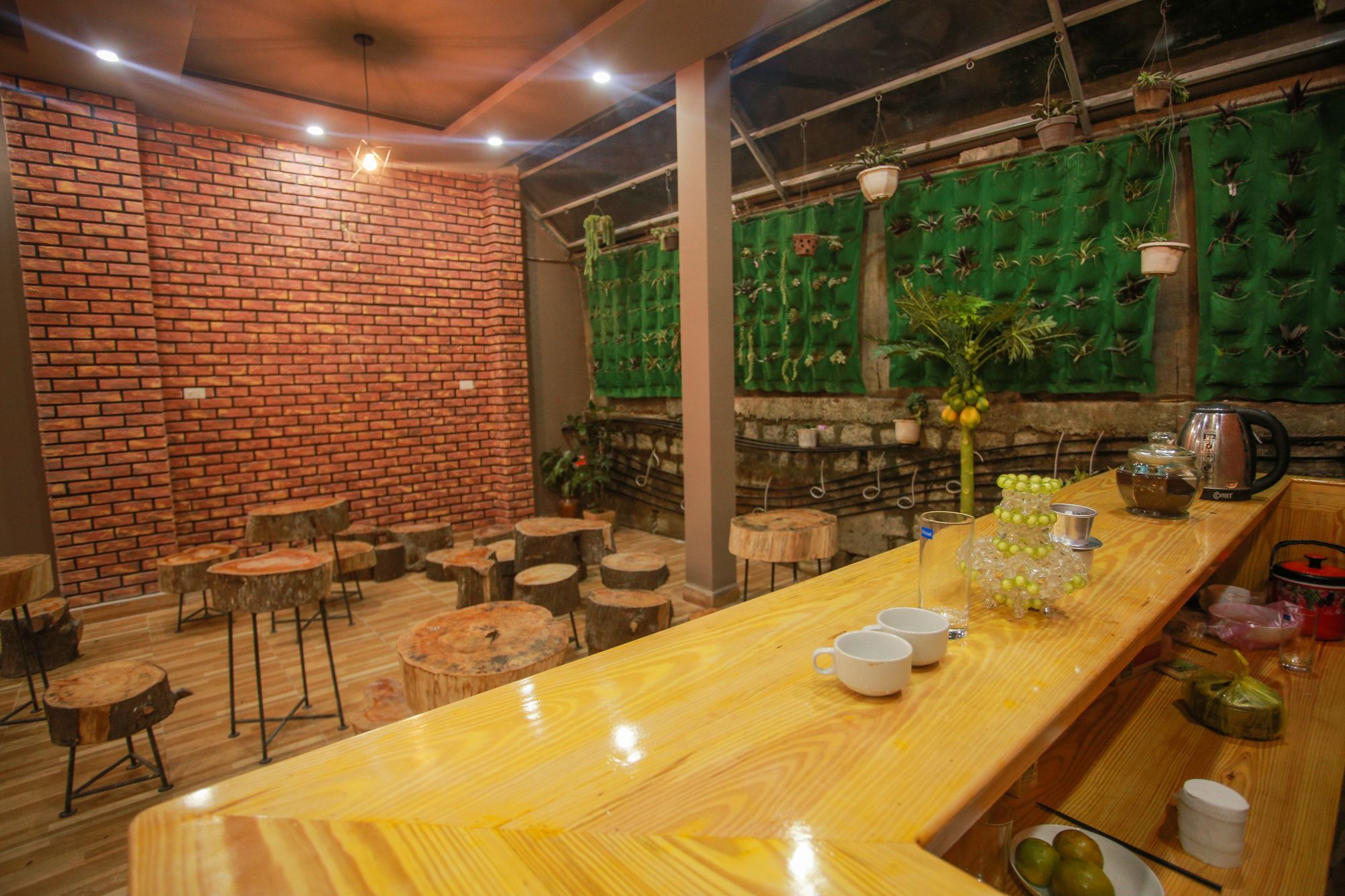 Spider Hostel ดาลัด ภายนอก รูปภาพ